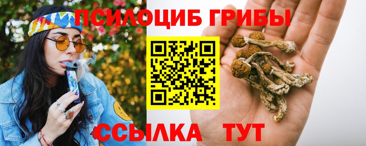 сколько стоит  Вход с VPN  Воткинск  Псилоцибиновые грибы Psilocybine cubensis 
